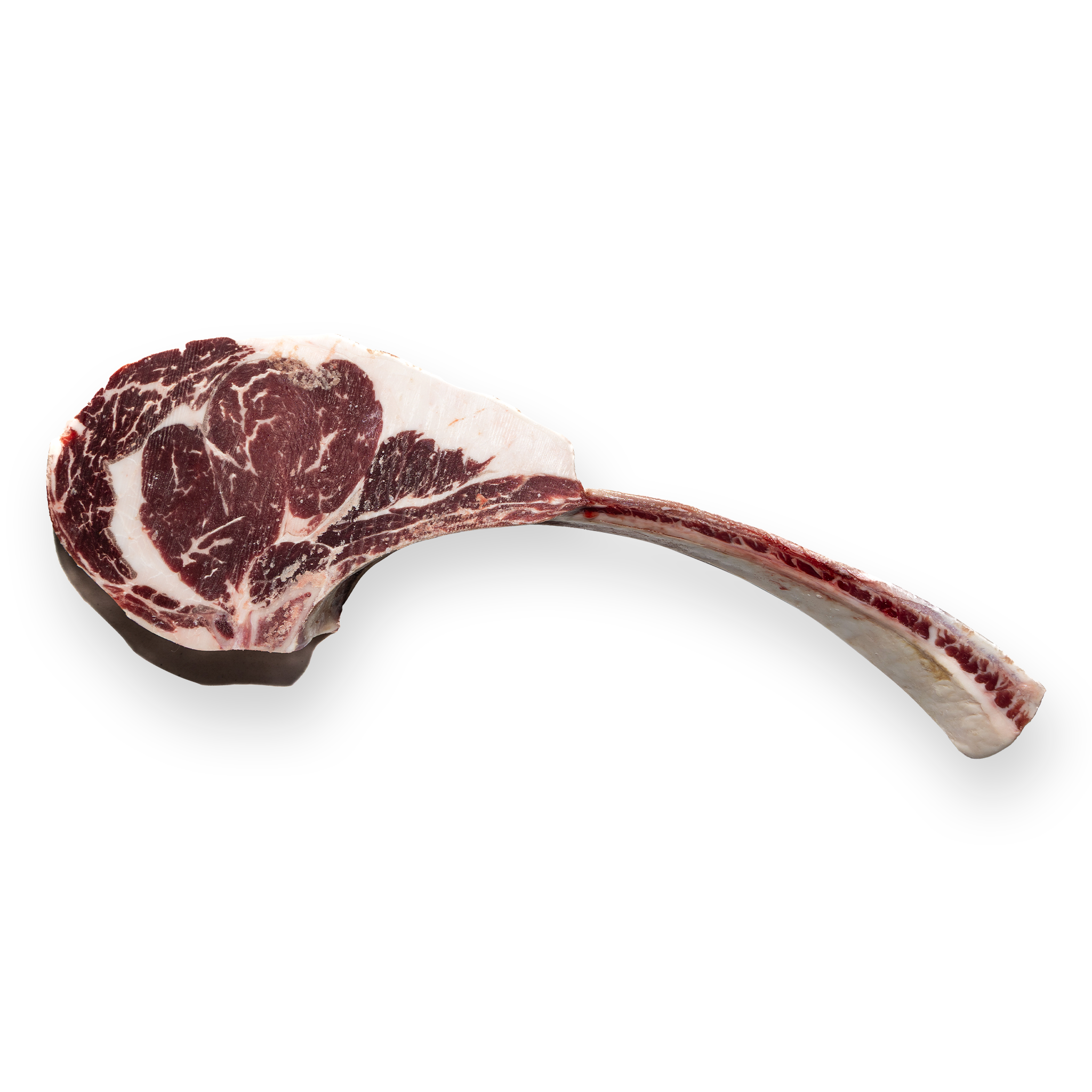 TOMAHAWK HIGH CHOICE